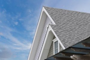 QUEL EST LE MATERIEL LE PLUS ADAPTE POUR VOTRE TOITURE ?