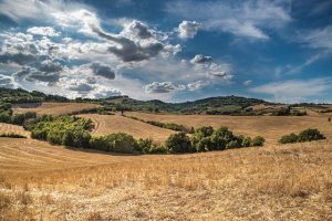 Toutes les démarches à faire pour un achat de terrain