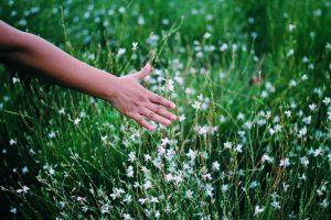 nature-and-inspiration_t20_PQN6zQ