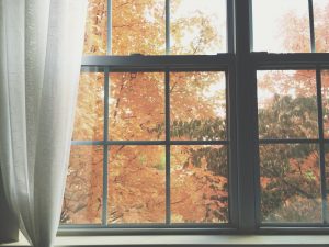 autumn-autumn-window-window-wood-wood-frame-frame-glass-glass-foliage-foliage-leaves-leaves-fall_t20_O3KLZm