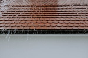 d-gat-des-eaux-dans-un-appartement-lyon-cause-de-la-toiture